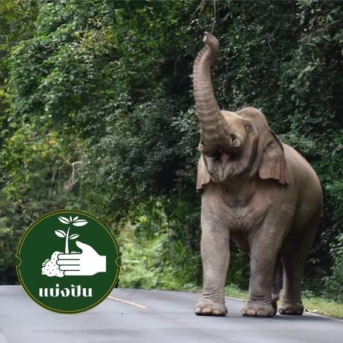 สมาชิกหมายเลข 9013780