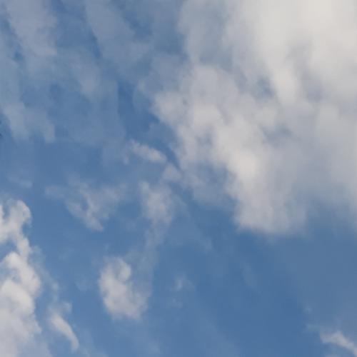 สมาชิกหมายเลข 4280564