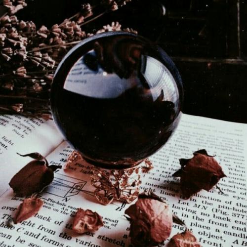 สมาชิกหมายเลข 2996441