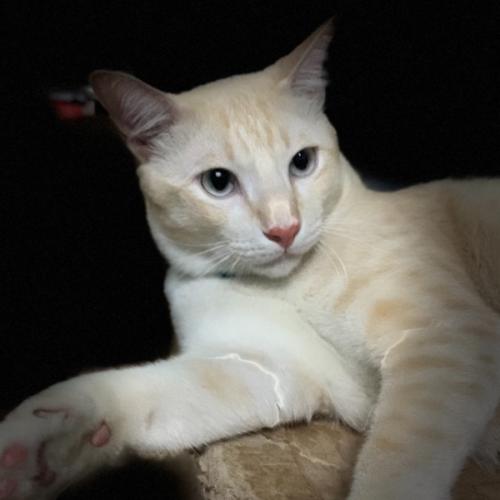 สมาชิกหมายเลข 5878748