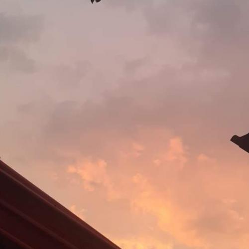 สมาชิกหมายเลข 5879166