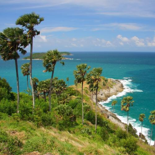 สมาชิกหมายเลข 5843005