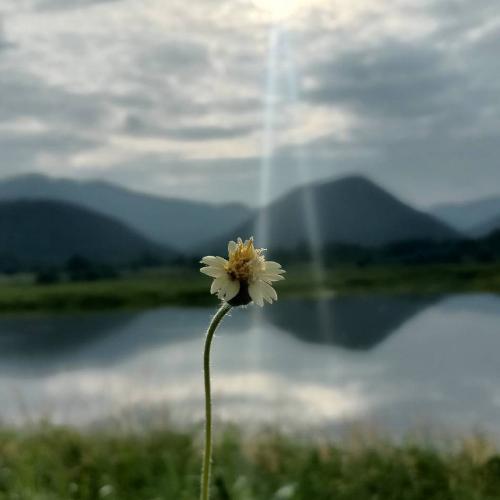 สมาชิกหมายเลข 6060220