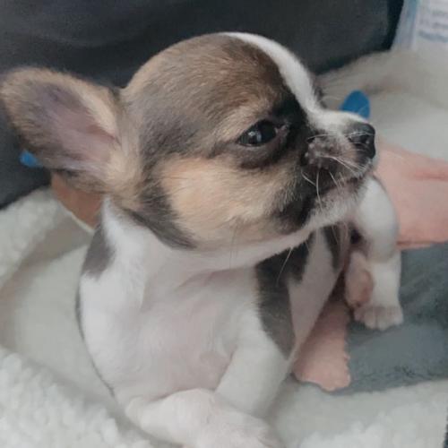 สมาชิกหมายเลข 6478674