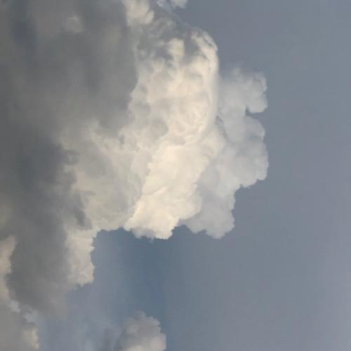 สมาชิกหมายเลข 7184458