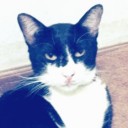 เซมาลูน