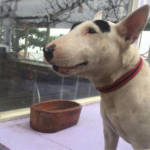 สมาชิกหมายเลข 4030096