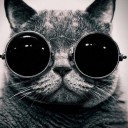 สมาชิกหมายเลข 4240231