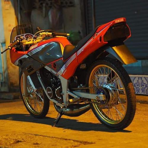 สมาชิกหมายเลข 5381626