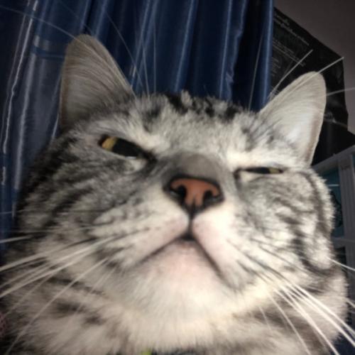 สมาชิกหมายเลข 5879417