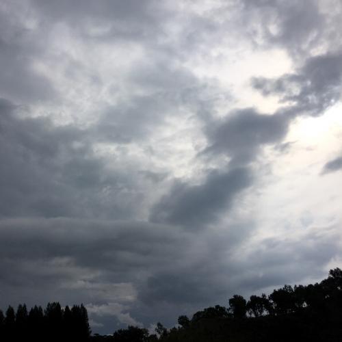 สมาชิกหมายเลข 6479298