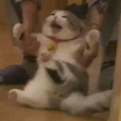 สมาชิกหมายเลข 6479472