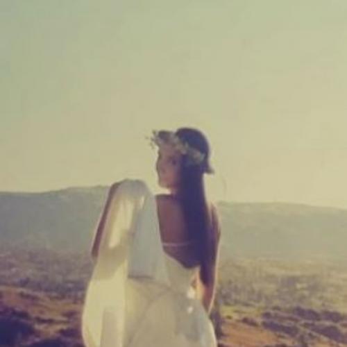 สมาชิกหมายเลข 7185394