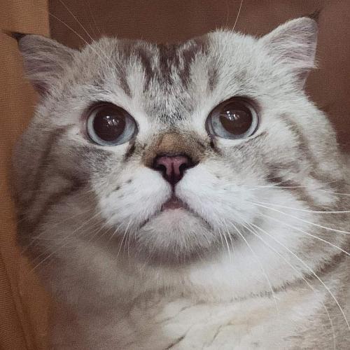 สมาชิกหมายเลข 7185404