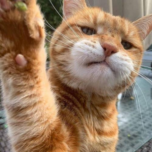 สมาชิกหมายเลข 1245556