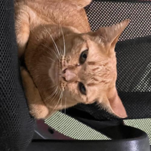 สมาชิกหมายเลข 2327601