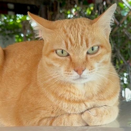 สมาชิกหมายเลข 5341940