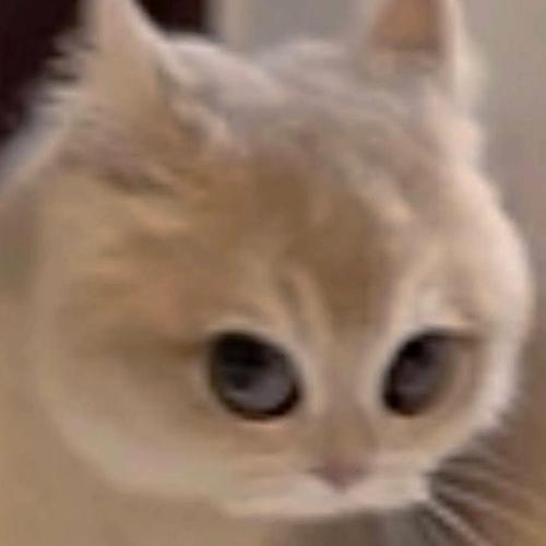 สมาชิกหมายเลข 7375831