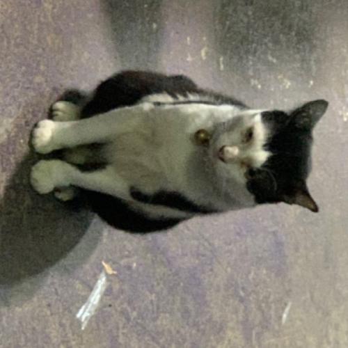 สมาชิกหมายเลข 7968426