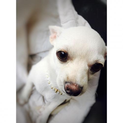 สมาชิกหมายเลข 4240516