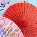 สมาชิกหมายเลข 4241060