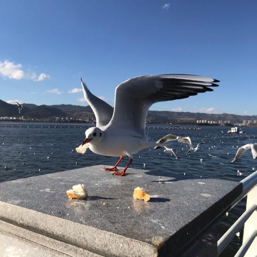 สมาชิกหมายเลข 4830432