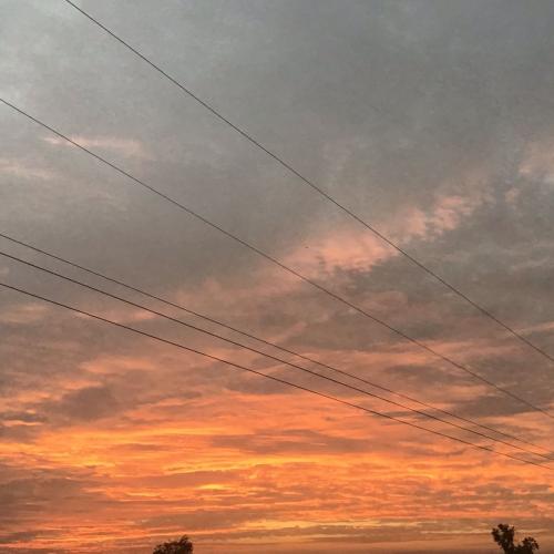 สมาชิกหมายเลข 4987895