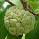 สมาชิกหมายเลข 4987986