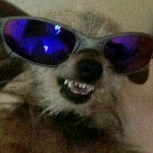 สมาชิกหมายเลข 4896337