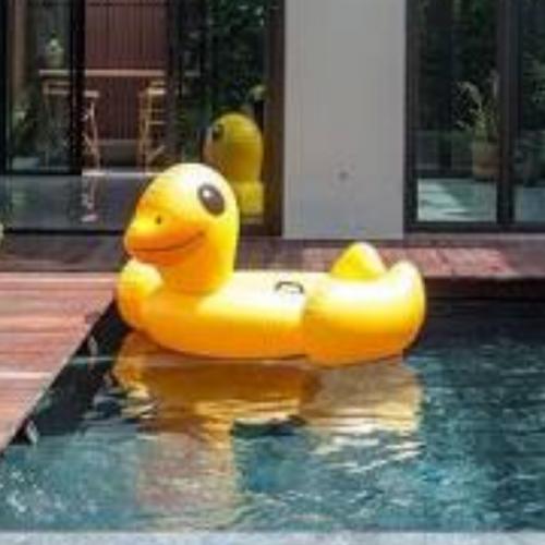 สมาชิกหมายเลข 5880117