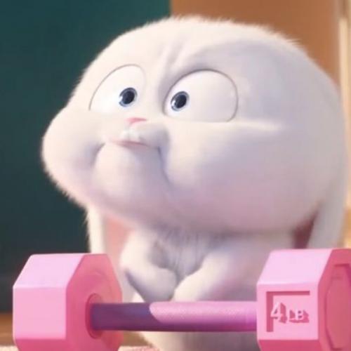 สมาชิกหมายเลข 6479753