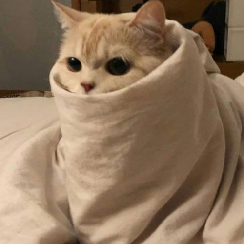 สมาชิกหมายเลข 6443696