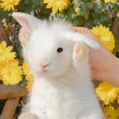 สมาชิกหมายเลข 7077068