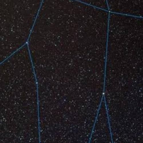 สมาชิกหมายเลข 7989372