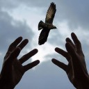 สมาชิกหมายเลข 3776787