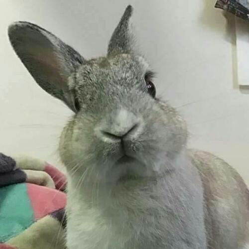 สมาชิกหมายเลข 4627937