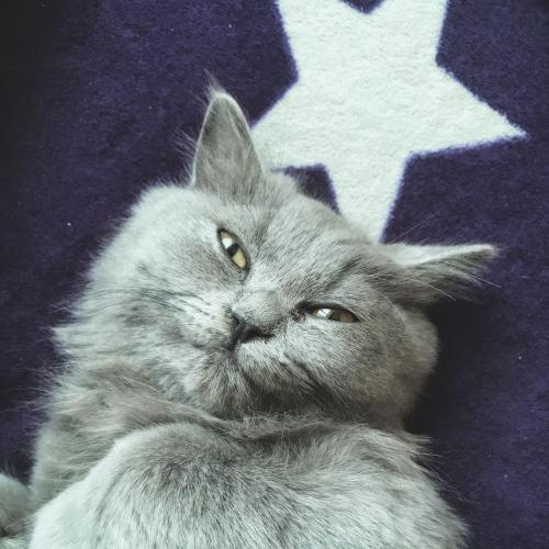 สมาชิกหมายเลข 4630161