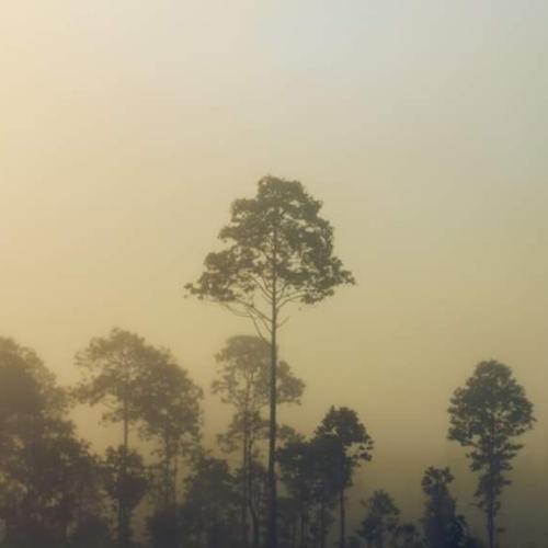 สมาชิกหมายเลข 4934608