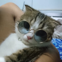 สมาชิกหมายเลข 4988057