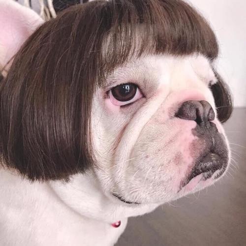 สมาชิกหมายเลข 2780758