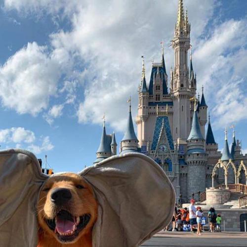 สมาชิกหมายเลข 3853540