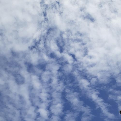 สมาชิกหมายเลข 5350382