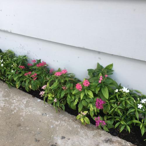 สมาชิกหมายเลข 3585691