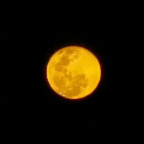 สมาชิกหมายเลข 5832896