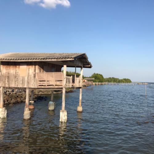 สมาชิกหมายเลข 5880705