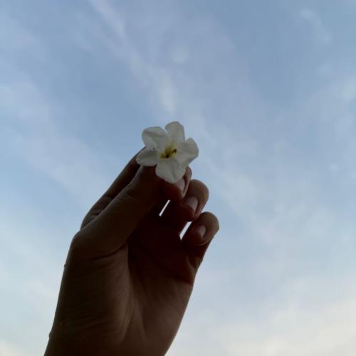 สมาชิกหมายเลข 3809641