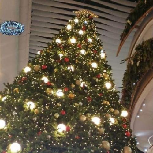 สมาชิกหมายเลข 7972621