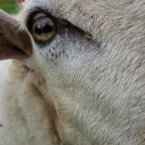 สมาชิกหมายเลข 1018241