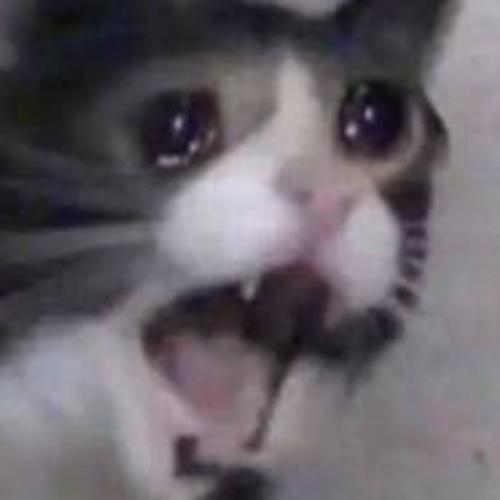 ฉันเหนื่อย ฉันอยากถูกหวย