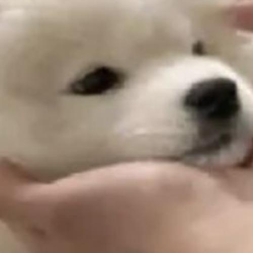 สมาชิกหมายเลข 9016819